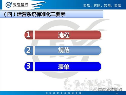 连锁运营标准化模块 企业管理核心操作指南